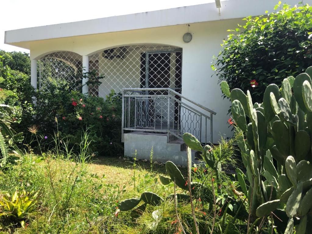 Jardin Des Anges-Bungalows Creoles Et Studio Le Moule Exteriér fotografie