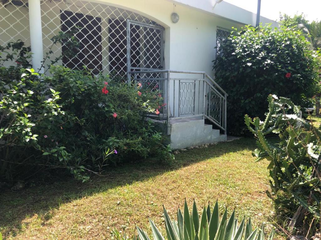 Jardin Des Anges-Bungalows Creoles Et Studio Le Moule Exteriér fotografie